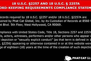 巨乳で美人な女教師が裏でいけないバイトしていました - 折原ほのか 1