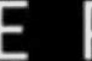 I found my stepmother's wet panties at home and jerked off on them intensely