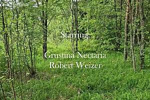 just tied her up and face-fucked this girl in the forest