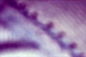 padosan ko jungle me bula kar uski chudai kar dali