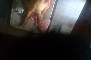 comendo amiga do trabalho 2 in hotel