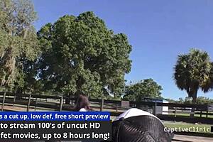 the new immigration policy s korean edition - mina moon