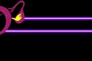 3D Hentai Game Iori Version with Intense Anime Action