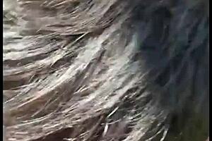 Comi Um Desconhecido Batendo Uma Na Trilha Free