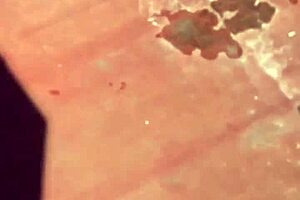 Vecinas Tomando Sol En La Terraza Parte 4