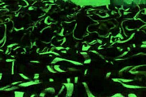 Camgirl Taio Gets Roughly Dicked By Neighbor On Cam