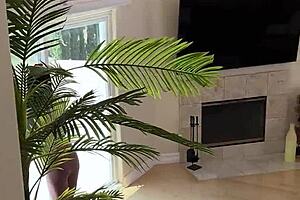 Jayne Doh's Tits Are Being Suckled So Hard!