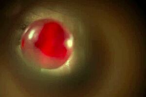 Horny asian teen gets humped by big dick neighbor on halloween