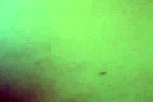 look at this big bbw ass getting fucked hard