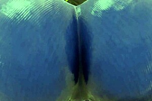 Why are those hentai bitches shaking their big asses?