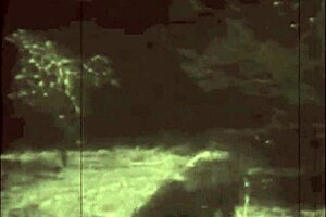 Beauty And The Beast Presented