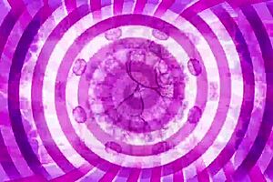 Lick It Up - Sissification Training with Monster Cock.