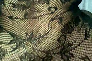 Big ass mature woman in lingerie wants cum, getting a close-up creampie.