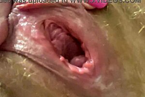 Hairy Pussy Gapes In Toilet With Farting And Sexy Close-Up!