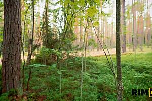 Rim4K Features Two Girls Sharing Cleanup in Outdoor Camping