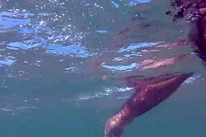 Uncle Naked on the Beach: A Surprising Sight