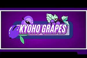 kyoho grapes full clip available on my channel