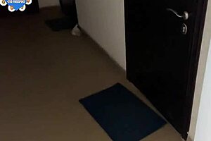 Hot tattooed blonde whore rides big cock doggystyle and swallows cum