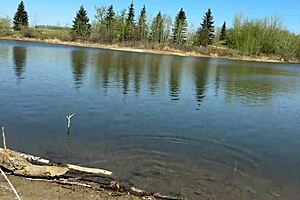 Young angler girl fishes after school in uniform.