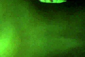 Bent over doggystyle with my big-ass ex