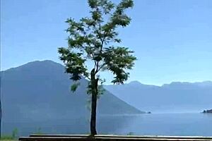 Public flashing teen 18+ sex in tourist hotspot!