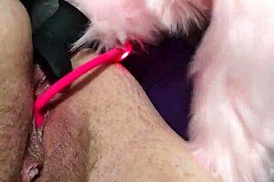 watch the chubby milf get double penetration in her ass