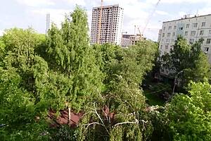 the step daddy asks for a blowjob before work