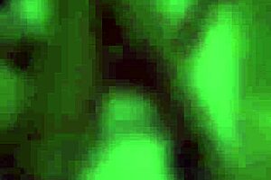 real german amateur teen 18+ in outdoor threesome with stranger?