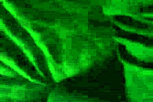 Milf bends over for interracial doggystyle at home.