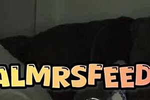 I'm the boyfriend getting doggystyle, missionary, oral, cum in mouth, and creampie from ebony babe