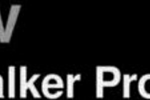 Vanessa Hillz's Rough Anal Training Session