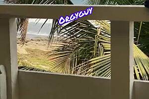 Pussy View Beach Resort Outdoor Flash by Housewife