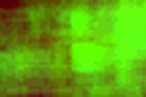 German blonde amateur endures painful anal fucking with big cocks