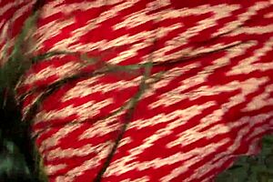 nawali married bhabhi and devar full hot sex video viral indian big boobs tight pussy big round ass hot bhabhi