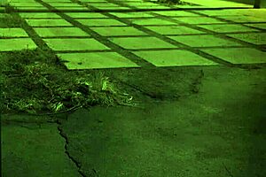 Fucked Outdoors Unless You're From The Sixties And Dig That Earth Milf