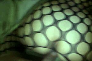 The Neighbor Has A Craving For Cum In Mouth And Pussy