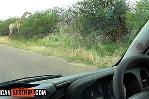 ebony pussy stretched by hung boyfriend pov