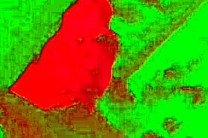 Homemade Couple Shares Intimate Moments in Bedroom