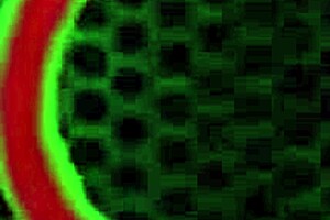 Rome Major Bends Vixen Vanity Over to Make That Bubble Ass Bounce