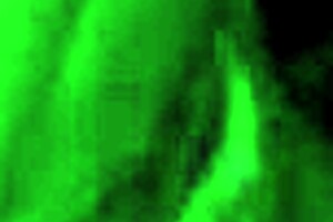 Amateur Couple Makes Second Sex Tape