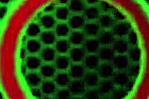 i see rahyndee james catching philly jhons cum on her soles