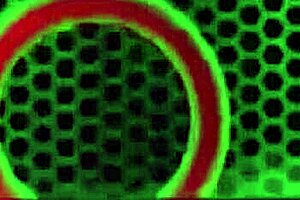 Joslyn James the Sluttiest Doctor Rome Major Cums On Her