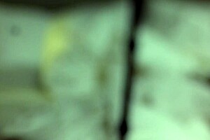 During The Casting, Blair Performs Pov Blowjob