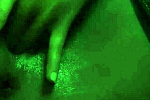 Harley Sucks Cock While Fingering Herself Wetly