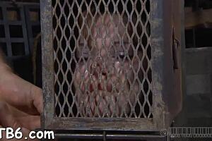 Beautiful babe's sweet nipples receive painful treatment!