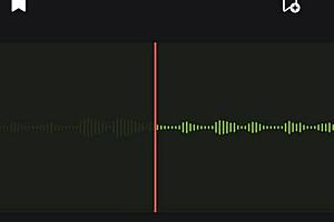 The Incredible Audio Of The Neighbor Part 2