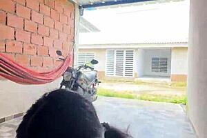 Colombiana cachonda le saca el pene a su novio en la calle y se lo mama