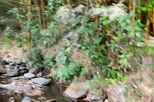 ayudo a desconocida y ella queria ir al bosque a tener sexo conmigo y casi nos descubren