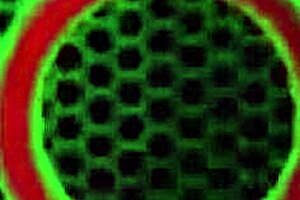 outdoors blowjob contrasts filthy rich man's facial on sweet blonde samantha rone