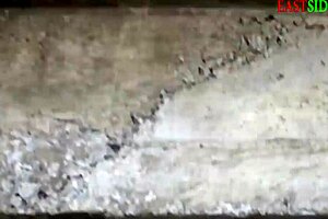 Outdoor BBW Teases With Wet Pussy For Intense Fucking